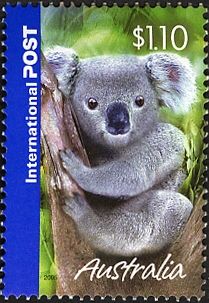 Koala 2005
