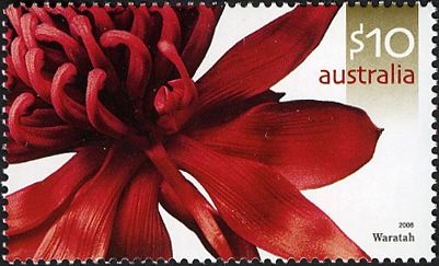 Waratah (Telopea speciosissima) from s/s