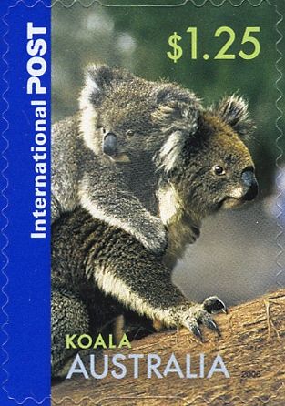 Koala with Cub (Phascolarctos cinereus)