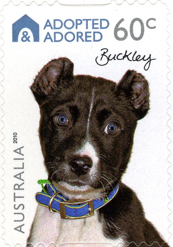 Buckley