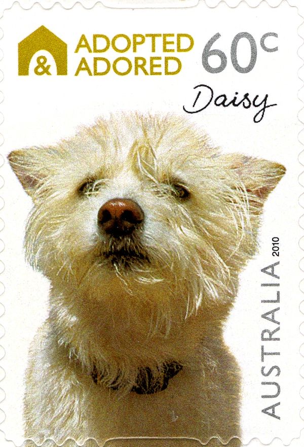Daisy
