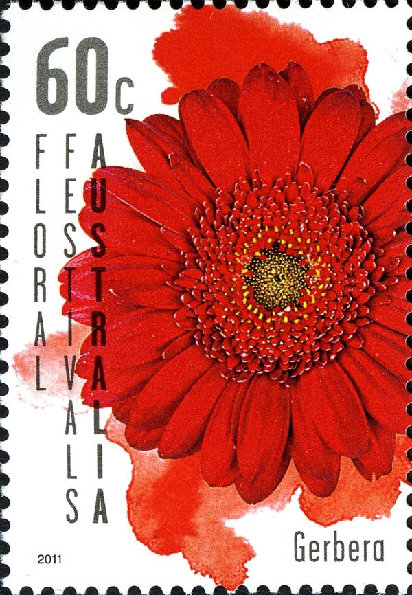 Floral Festival - Gerbera