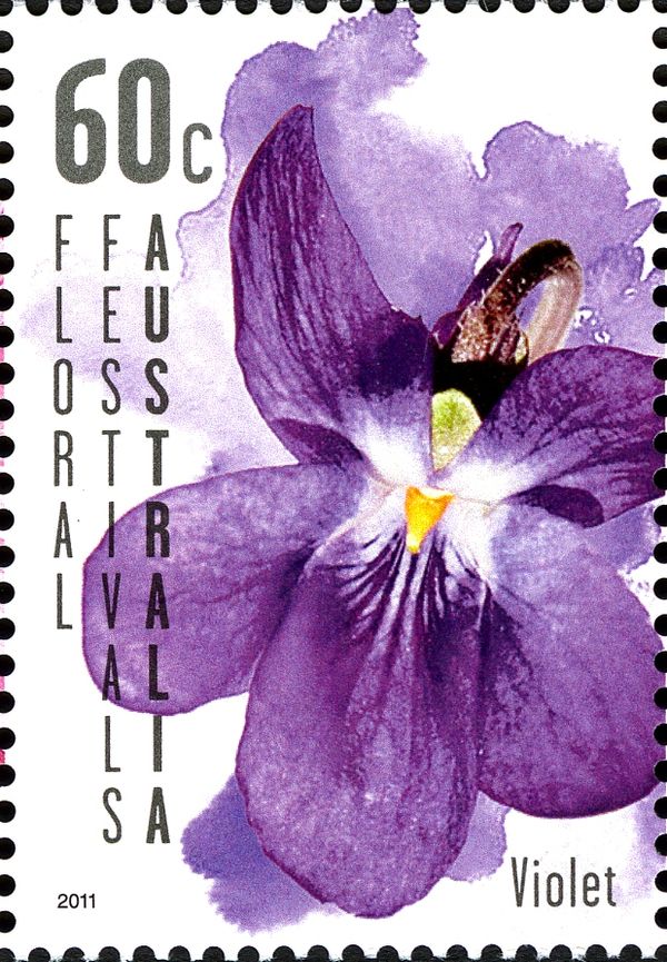 Floral Festival - Violet