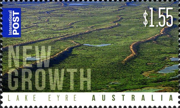 Lake Eyre - "New Growth"