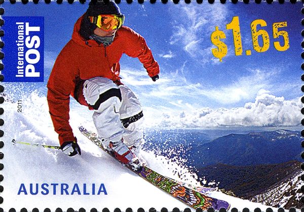 Skier