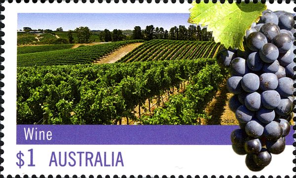 Bunch of Grapes and Vineyard - Wine