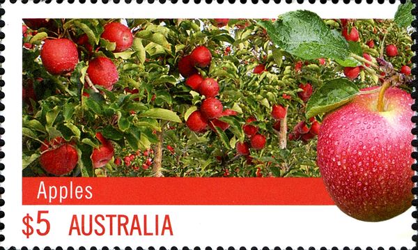 Apples