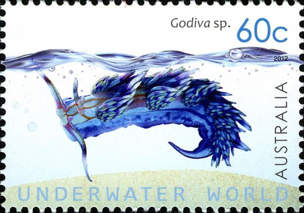 Nudibranch (Godiva sp.)