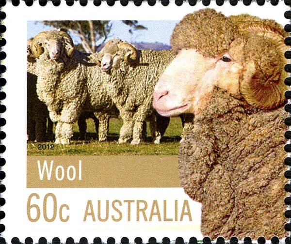 Sheep (Ovis ammon) - Wool