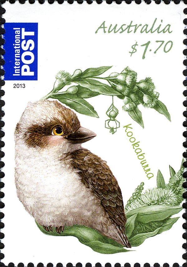 Laughing Kookaburra (Dacelo novaeguineae)
