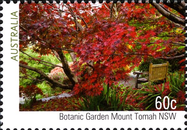 Botanic Gardens, Mount Tomah, NSW
