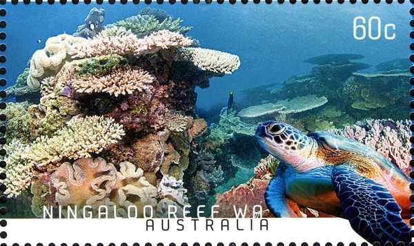 Ningaloo Reef, WA