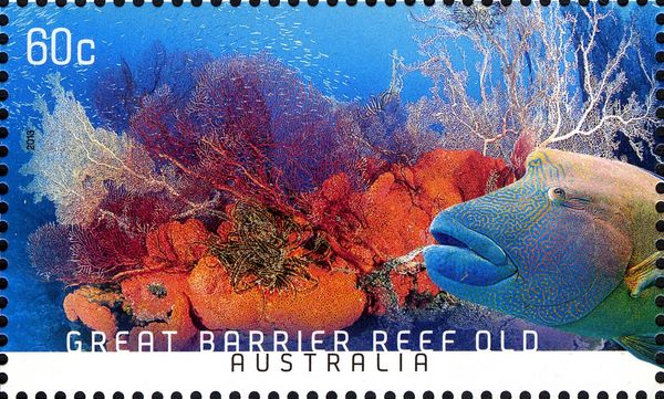 Great Barrier Reef, Qld