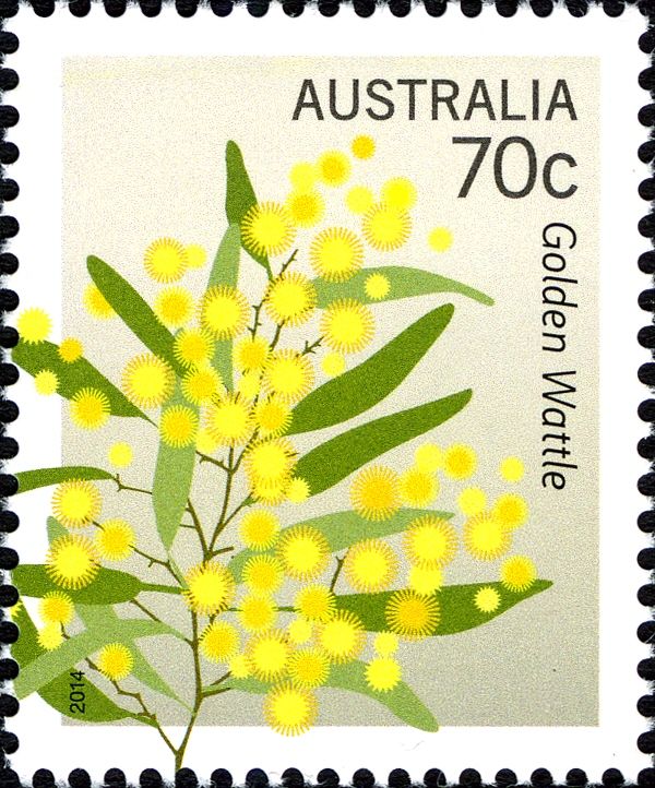 Golden Wattle (Acacia pycnantha)