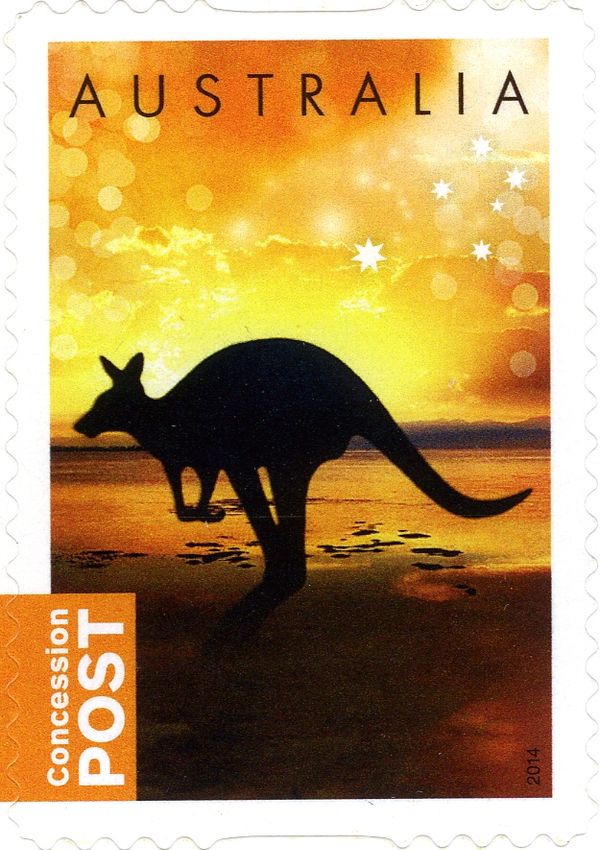 Kangaroo on Beach at Sunset