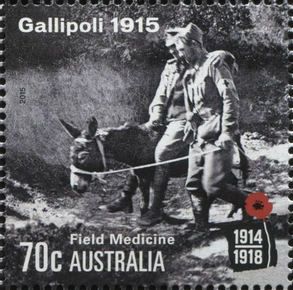 Gallipoli 1915 - Field Medicine