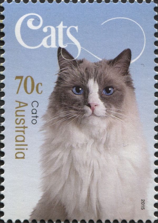 Cato