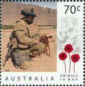 Animals in War - Soldier with Dog