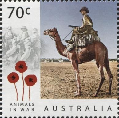 Animals in War - Soldier Riding Camel
