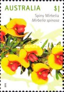 Spiny Mirbelia (Mirbelia spinosa)