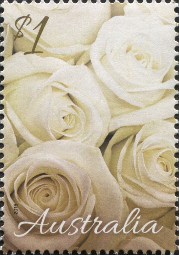 White Roses 2016
