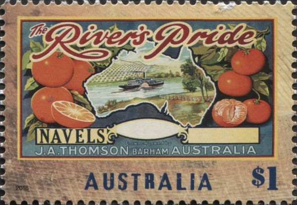 River's Pride Navels