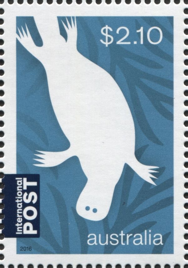 Playtpus (Ornithorhynchus anatinus)