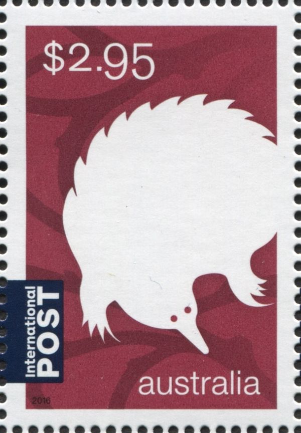 Short-beaked Echidna (Tachyglossus aculeatus)