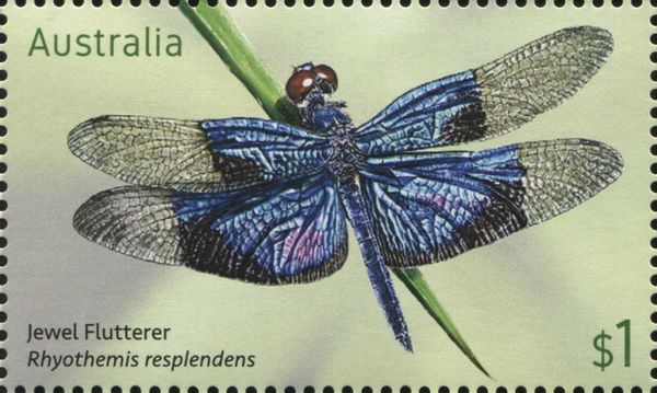 Jewel Flutterer (Rhyothemis resplendens)