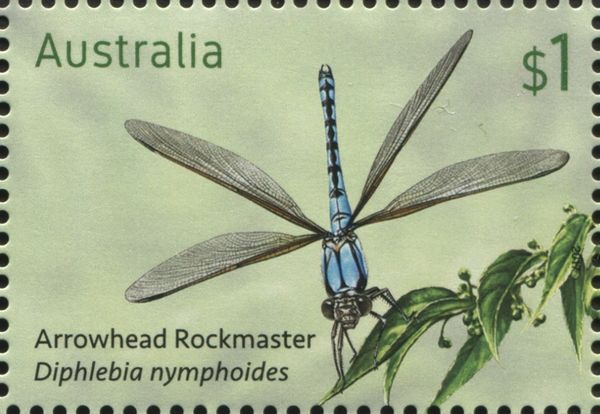 Arrowhead Rockmaster (Diphlebia nymphoides)