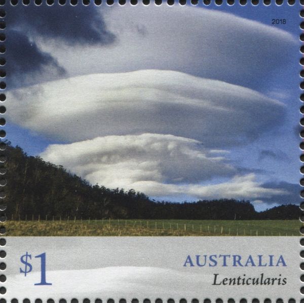 Lenticularis