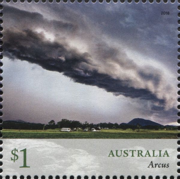 Arcus