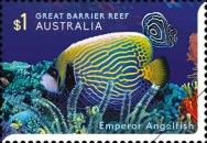 Emperor Angelfish (Pomacanthus imperator)