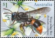 Wasp-Mimic Bee (Hyleoides concinna)