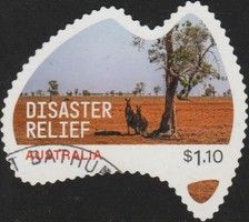 Kangaroos in Drought-Stricken Area