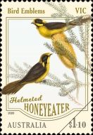 Helmeted Honeyeater (Lichenostomus melanops) - Victoria