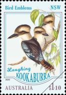 Laughing Kookaburra (Dacelo novaeguineae) - New South Wales