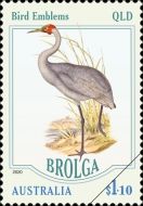 Brolga (Antigone rubicunda) - Queensland