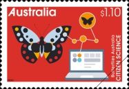 Butterflies Australia