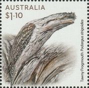 Tawny Frogmouth (Podargus strigoides)