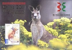China 2011 on Red Kangaroo