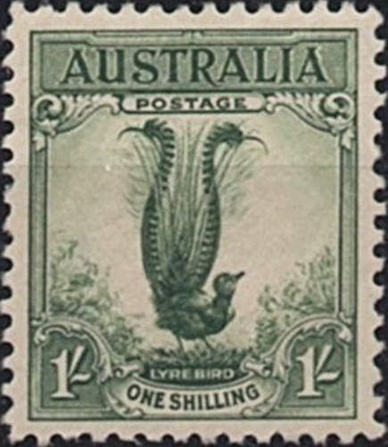 Lyre Bird (Menura novaehollandiae), Overprinted OS