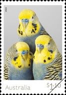 The Tweets