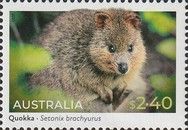 Quokka (Setonix brachyurus)
