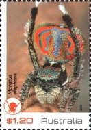 Elephant-face Peacock Spider (Maratus elephans)