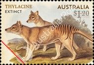 Thylacine (Thylacinus cynocephalus)