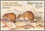 Long-tailed Hopping-mouse (Notomys longicaudatus)
