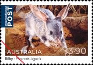 Bilby (Macrotis lagotis)