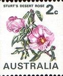 Sturt's Desert Rose 2c coil stamp on white paper