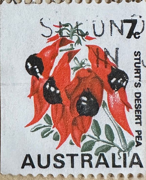 Sturt's Desert Pea 7c coil stamp on white paper